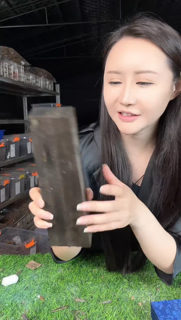 金丝楠金丝楠木小叶桢楠