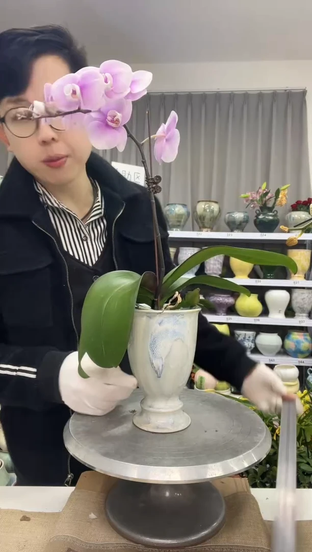 【12.15】花盆链接 高： 17 口：11