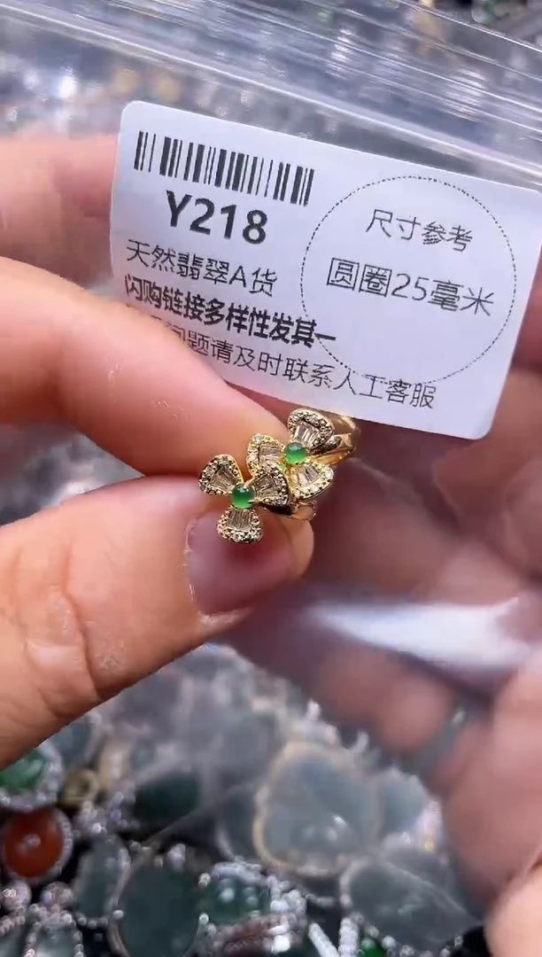 【闪购商品】翡翠颈饰未镶嵌Y218耳扣