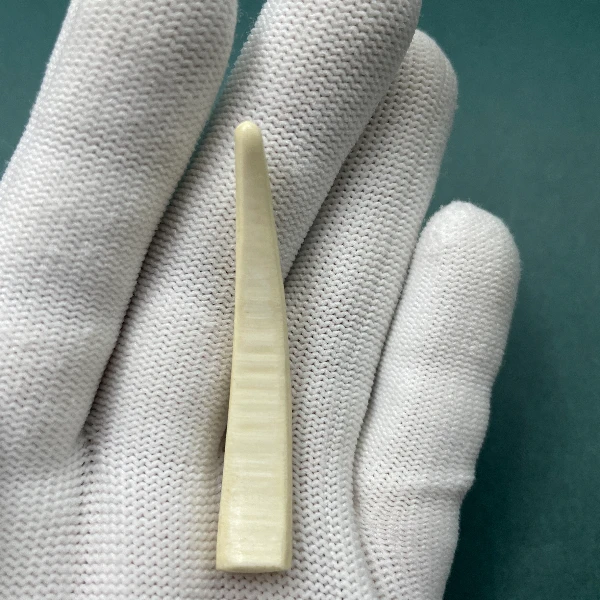 E6182天然猛犸牙牙尖支持鉴定 假一罚四