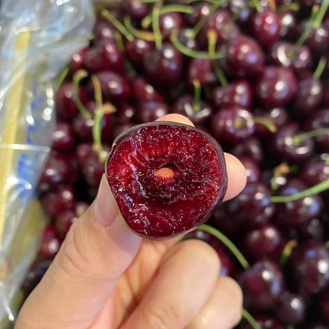 【海运】[N]盛开桑提娜车厘子2JD 净重5斤 内附果径卡 仅太原可拍