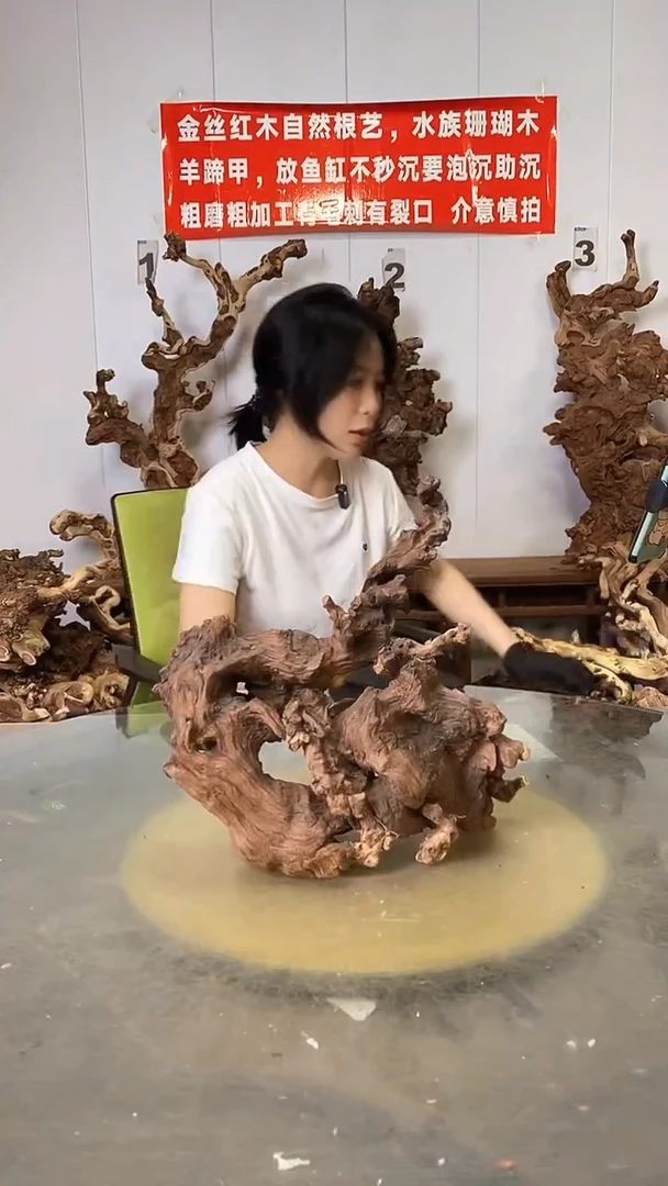 香榧木金丝红木 羊蹄甲