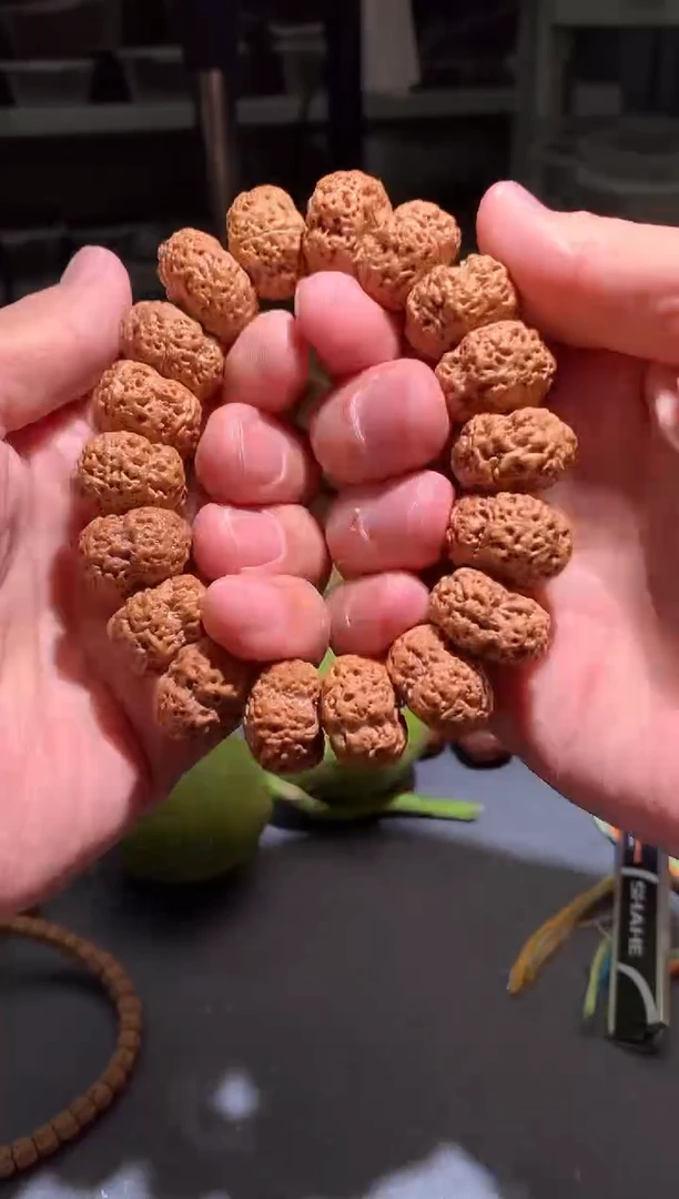 金刚菩提手串351