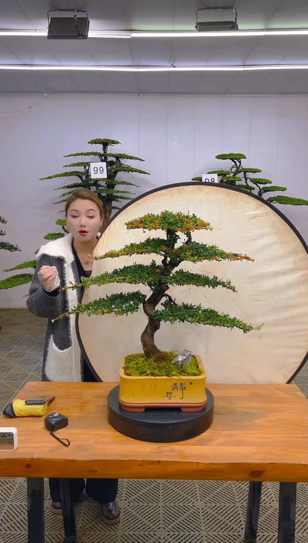 无花朵一物一拍一物一拍