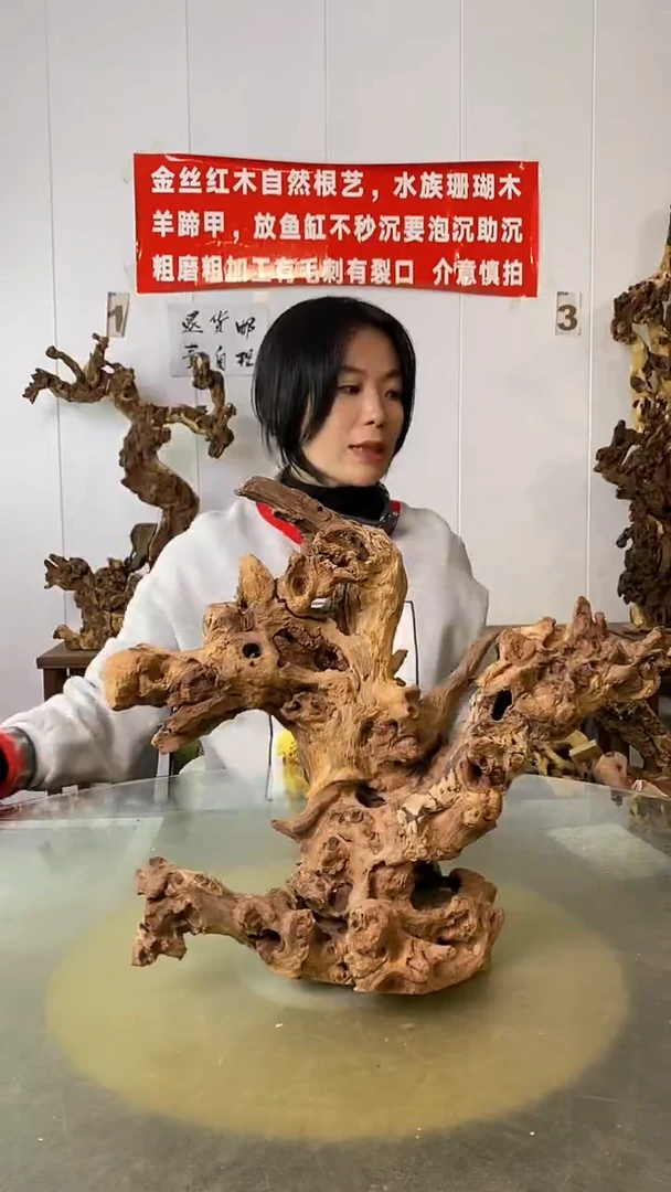 香榧木超**翔金丝红木 羊蹄甲