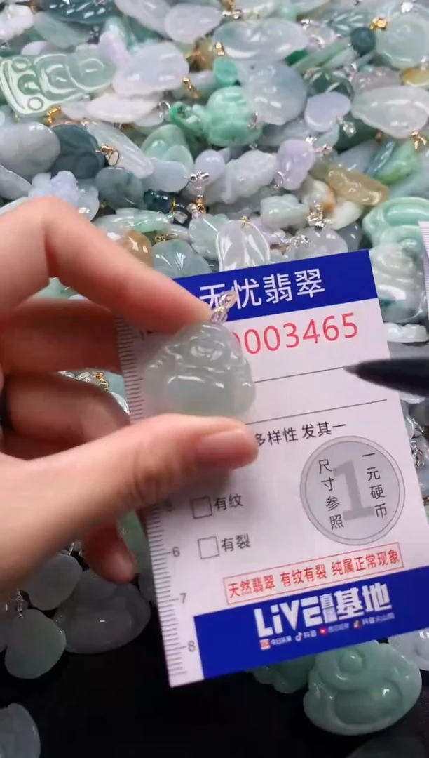 颈饰未镶嵌翡翠3465