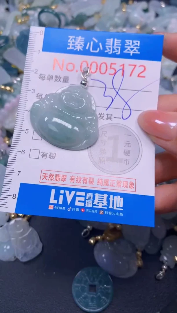 吊坠(不含链)未镶嵌翡翠5172