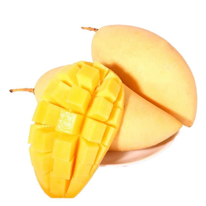 水仙芒约550g±50g