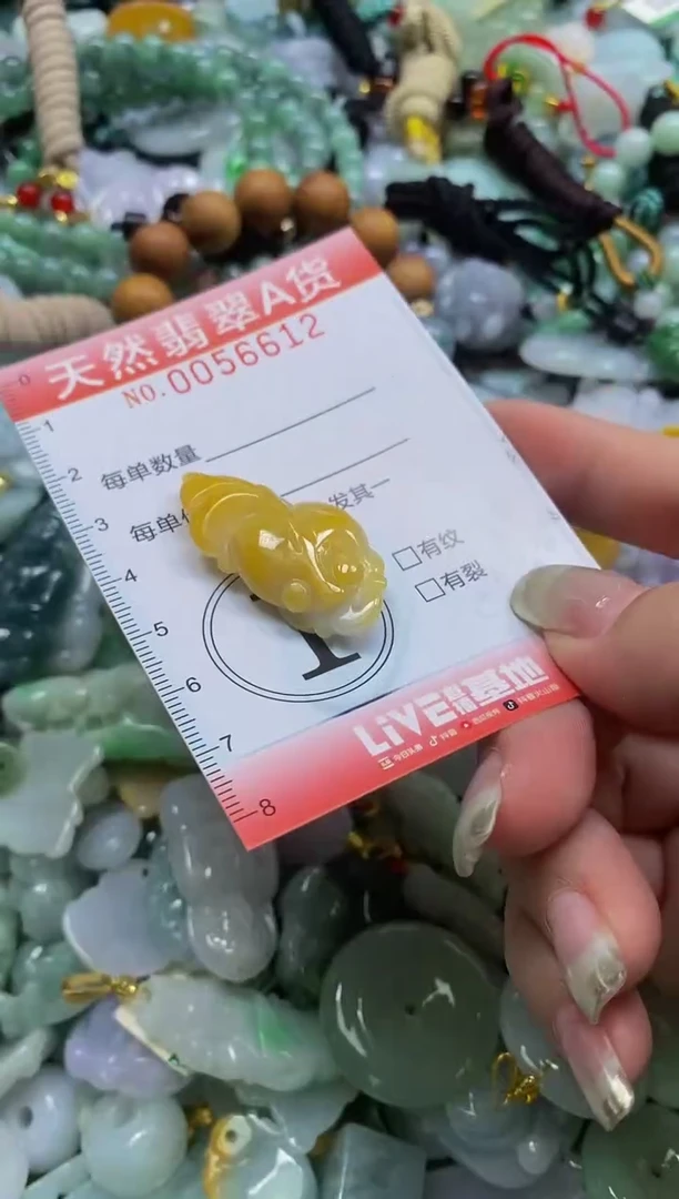 翡翠未镶嵌颈饰闪购0056612