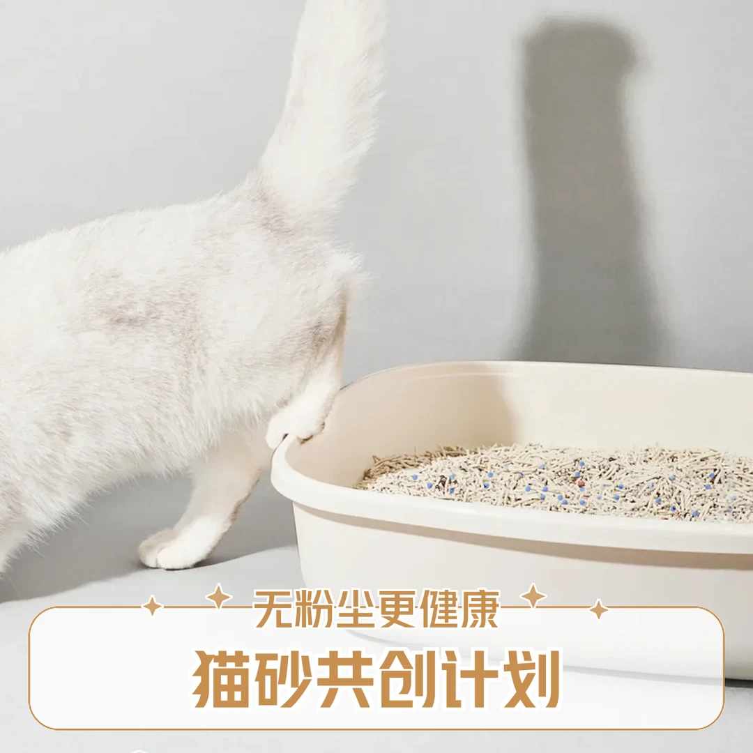 猫砂共创定制你喜欢的猫砂及味道（木薯，豆腐，膨润土，矿砂）