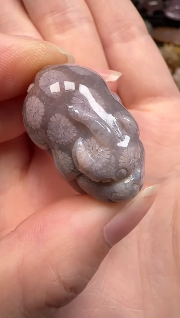 硅化珊瑚（珊瑚玉）未镶嵌颈饰570