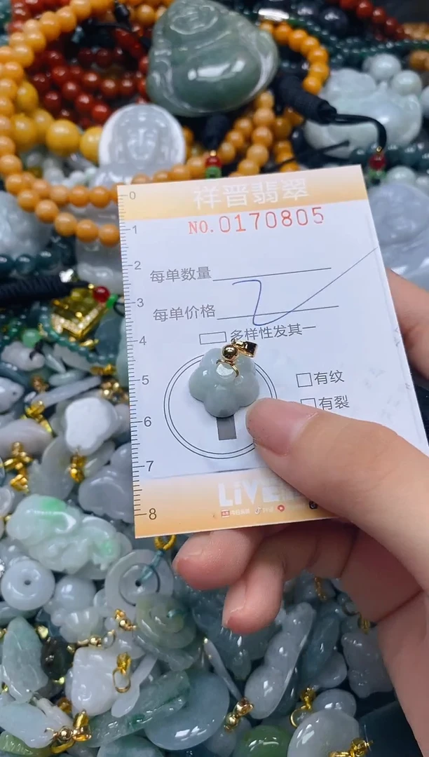 翡翠未镶嵌颈饰闪购0170805多样性发其一