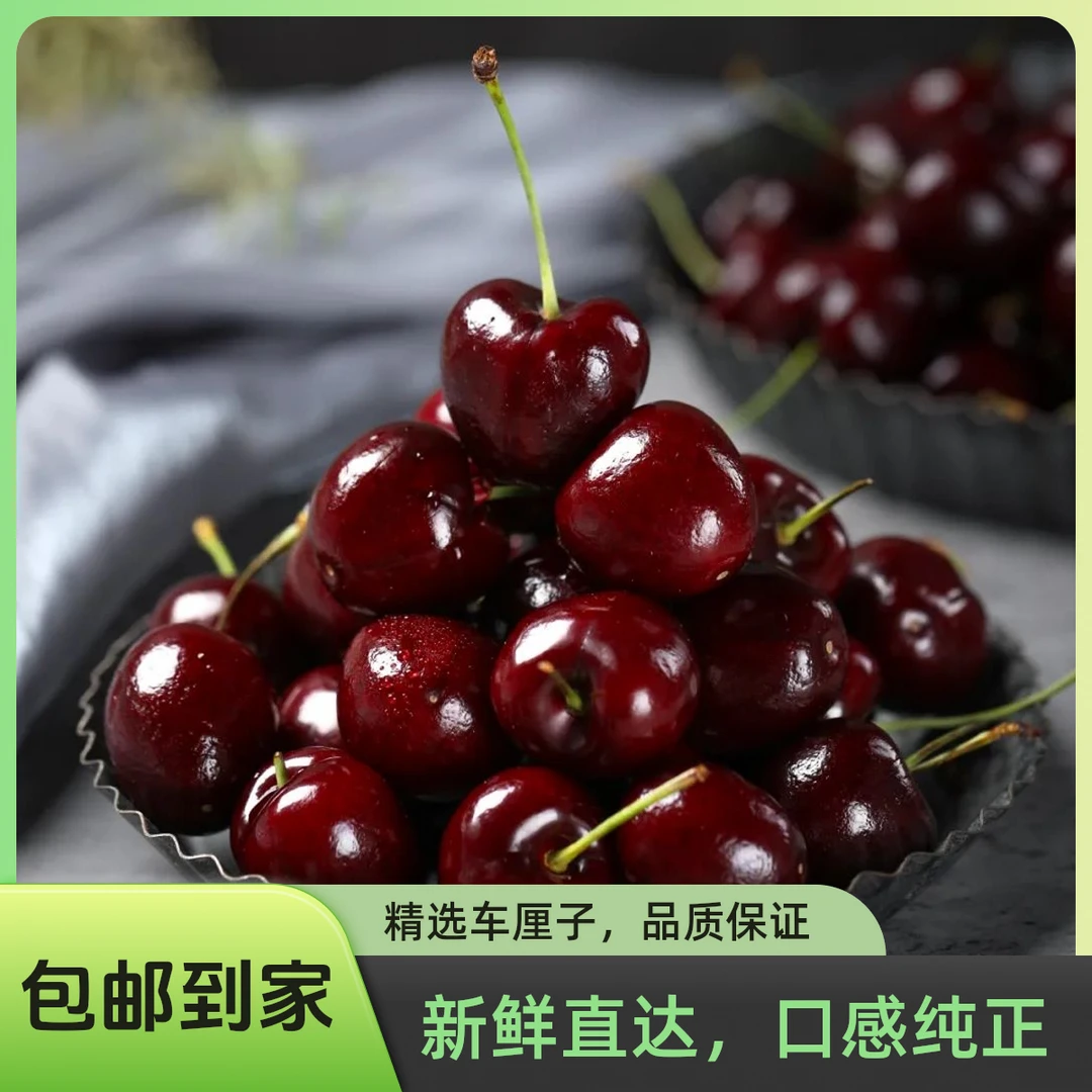 智利海运车厘子 1J 3JD原盒五斤装进口车厘子送礼佳品