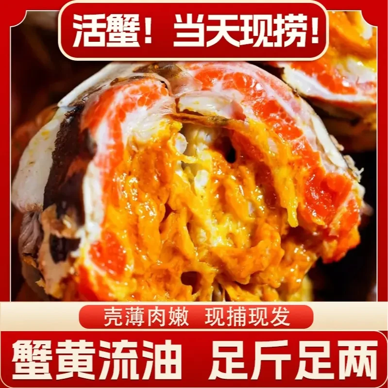 【活蟹】金标大闸蟹 母蟹3.0-2.7两 公蟹3.0-2.7两 5对 共8只