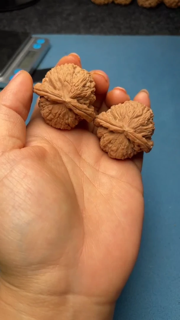 桃核把件w183  白狮子 37尺
