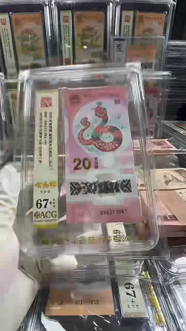 塑料蛇钞金山标096311081
