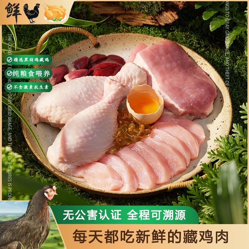 散养老母鸡鲜鸡肉黑羽藏鸡无激素无抗生素 包冰率35%-40%