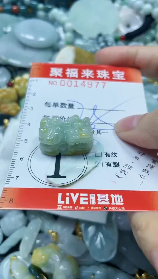 【闪购商品】翡翠颈饰未镶嵌闪购0014977