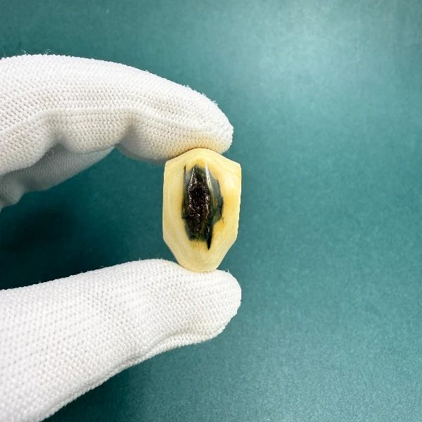 M1502天然猛犸牙 鲨鱼背三通 支持鉴定 假一罚四