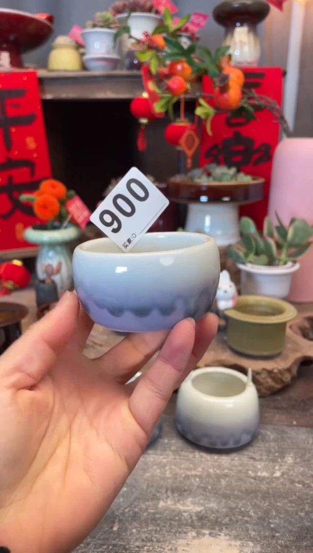 【闪购商品】摆件900知木小芳花盆