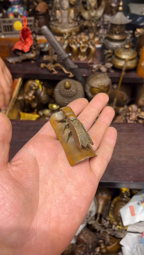 B诺诺古铜专属高端精品