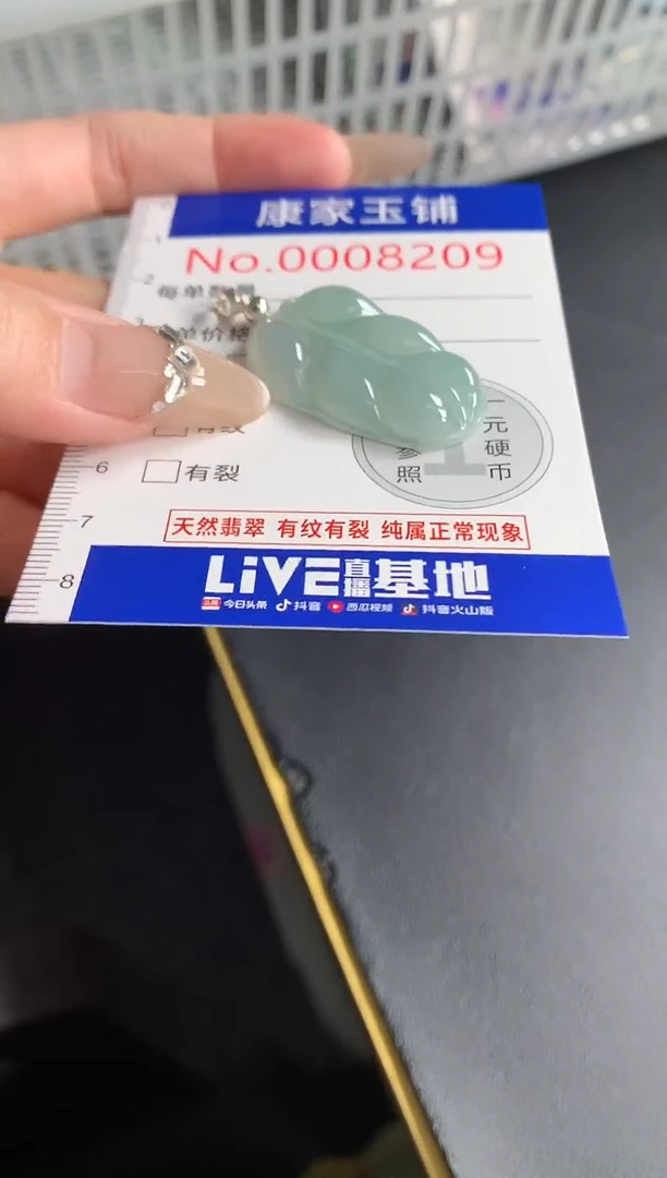 翡翠未镶嵌吊坠(不含链)8209