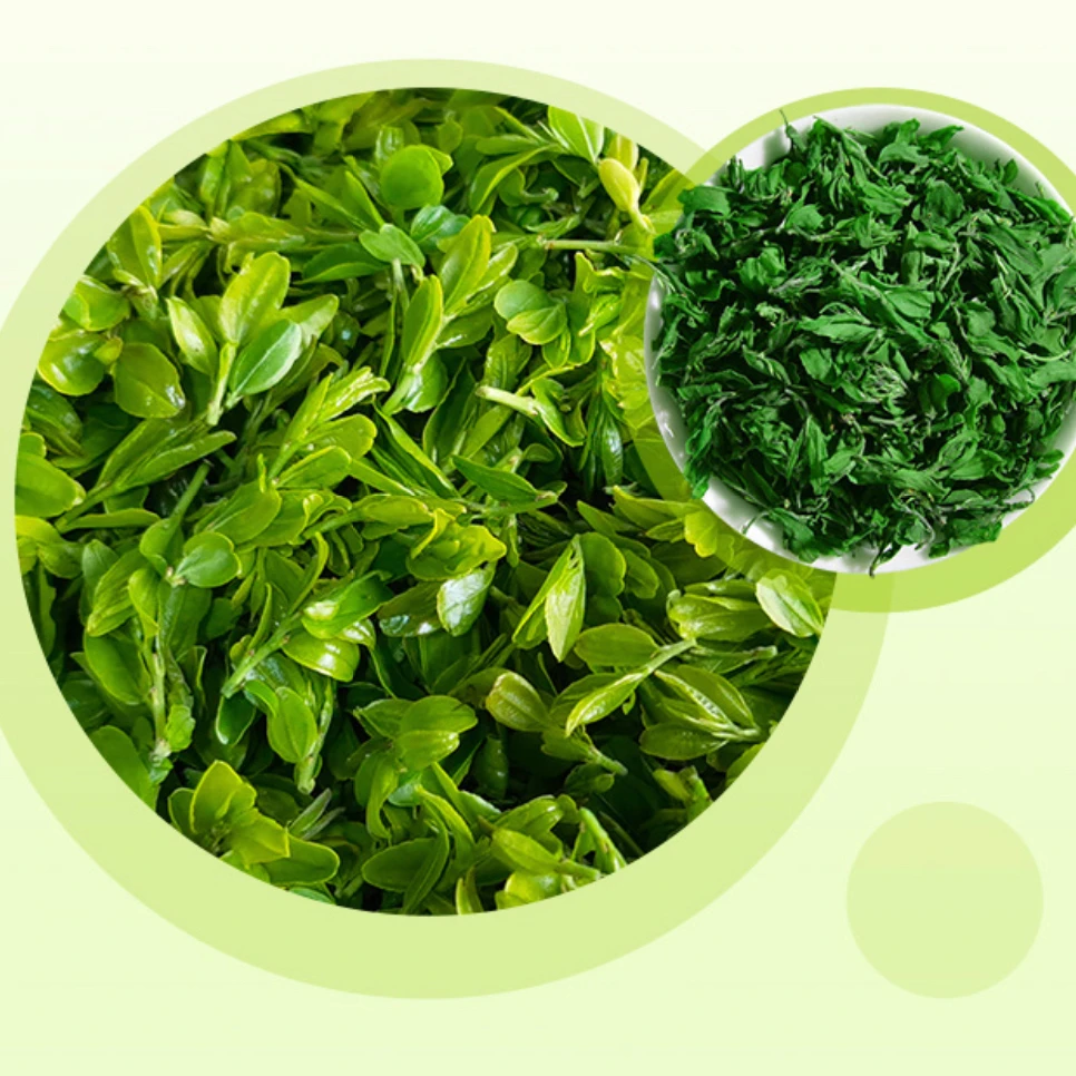 东方睡叶‘扁鹊鼻祖老方’失眠，睡不着，睡得少喝一杯添眠自由睡