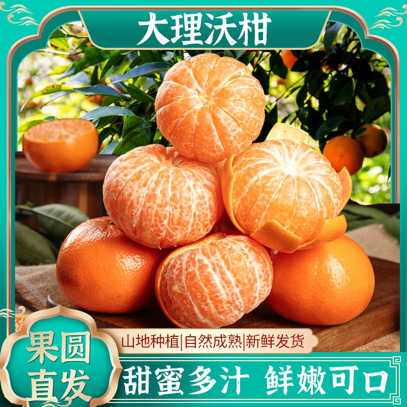 大理沃柑云南高山种植新鲜应季水果产地直供下单现摘现发甜嫩多汁