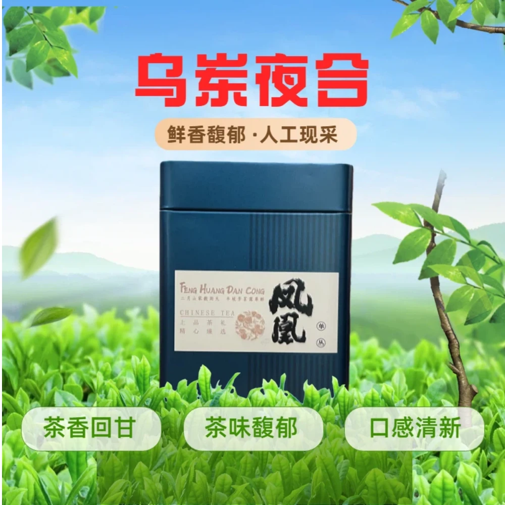【雅选】乌岽夜合单丛茶125g 凤凰单丛茶 乌岽单丛茶 老枞单丛茶
