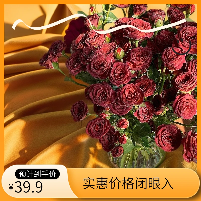 鲜切花居家鲜花巧克力多头玫瑰一扎10枝