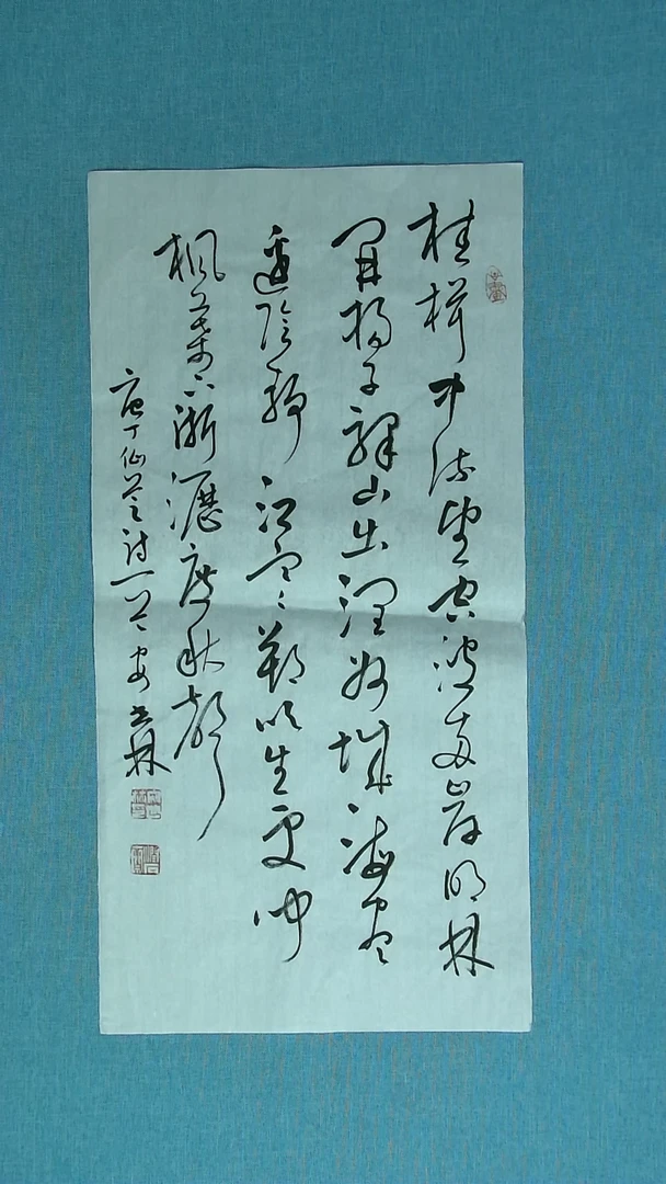 【闪购商品】书法165 甘肃安世林中书协69*34