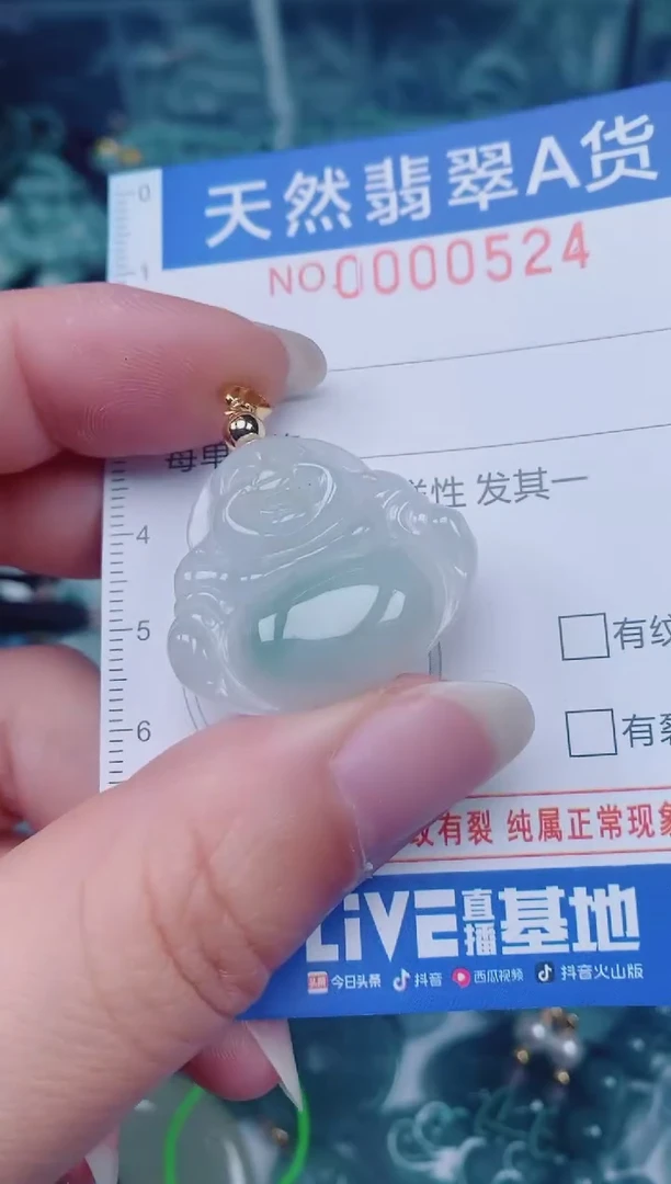 颈饰未镶嵌翡翠00000524