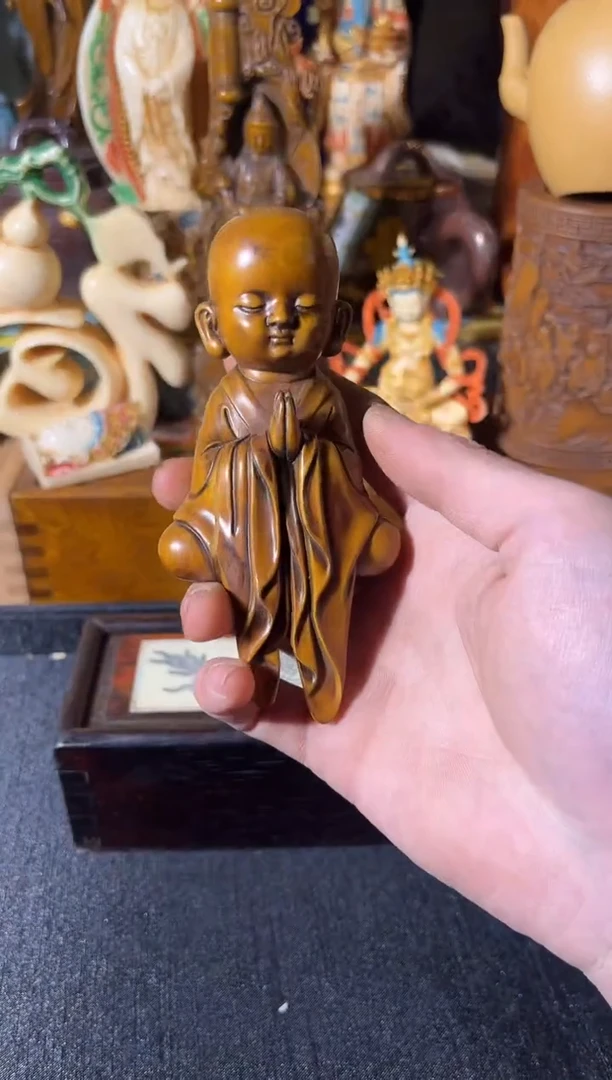 黄杨木1111111111