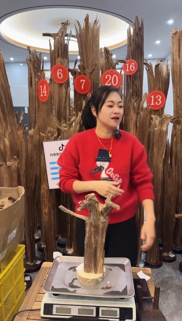 【闪购商品】沉香摆件沉香摆件11