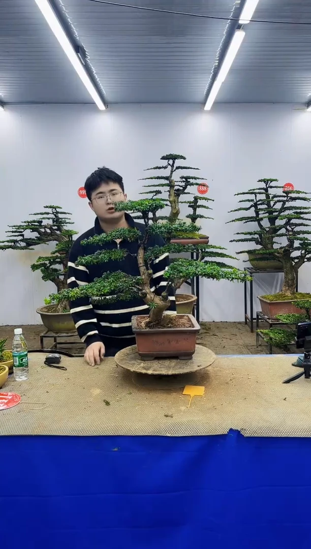 完全开放一物一拍，所见即所得