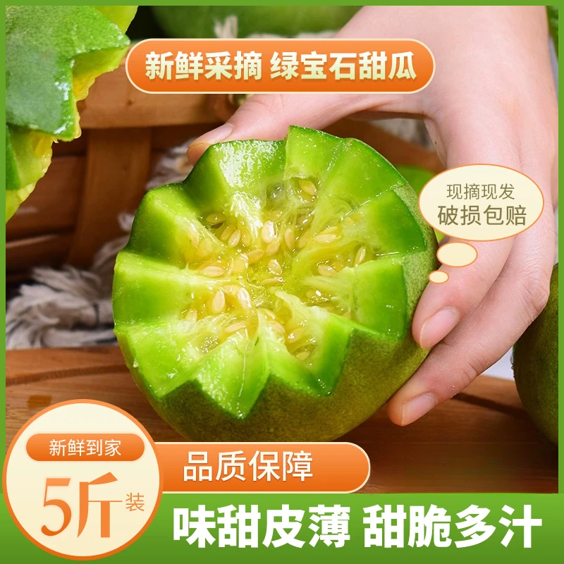 山东头茬绿宝石甜瓜新鲜甜脆甜蜜香瓜自然成熟当季水果种植现摘