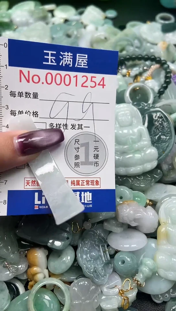 颈饰未镶嵌翡翠1254