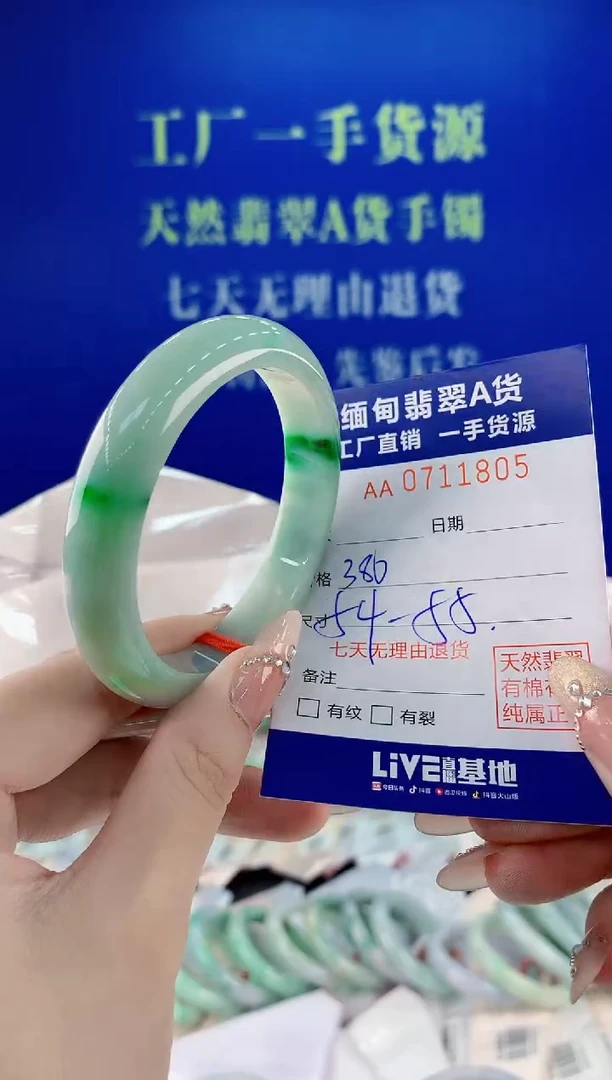 未镶嵌手镯翡翠05