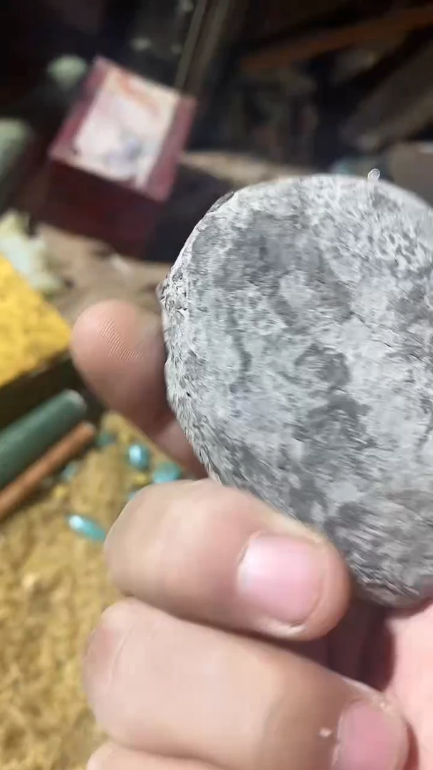 香榧木（1个白石头）
