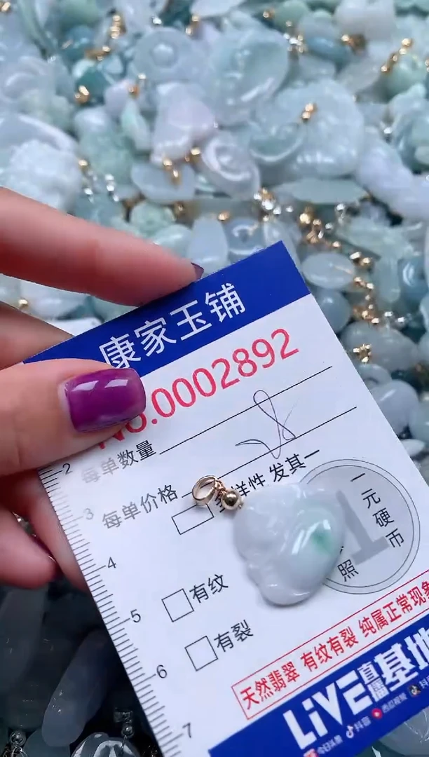 颈饰未镶嵌翡翠2892