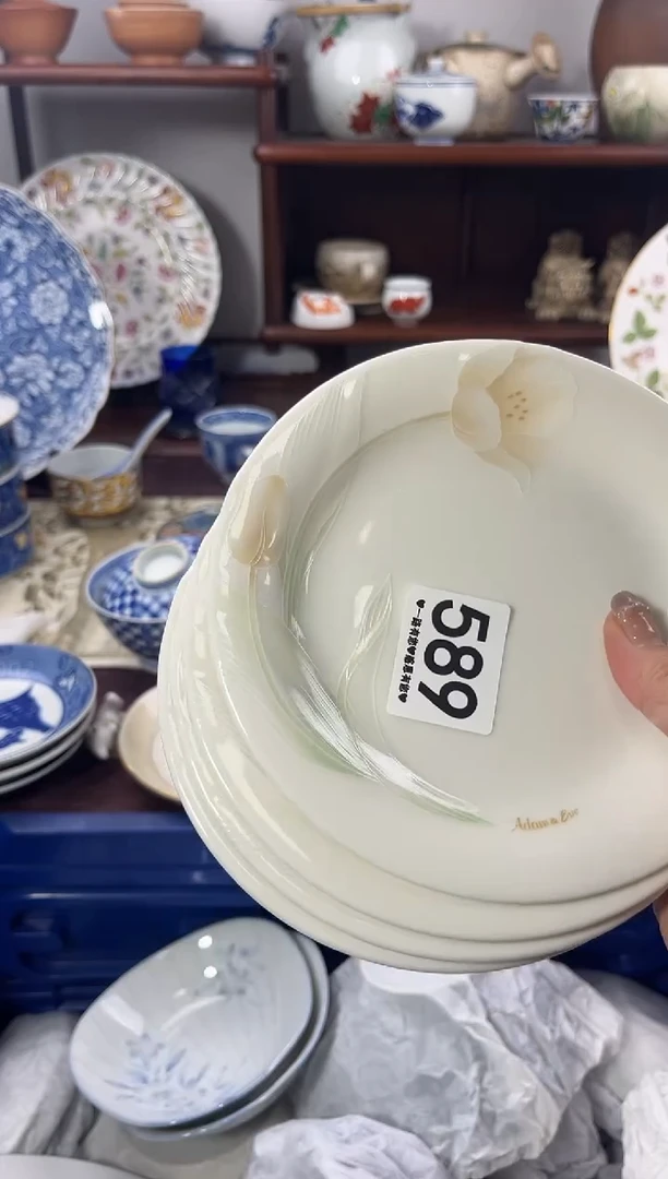 【闪购商品】瓷片589............