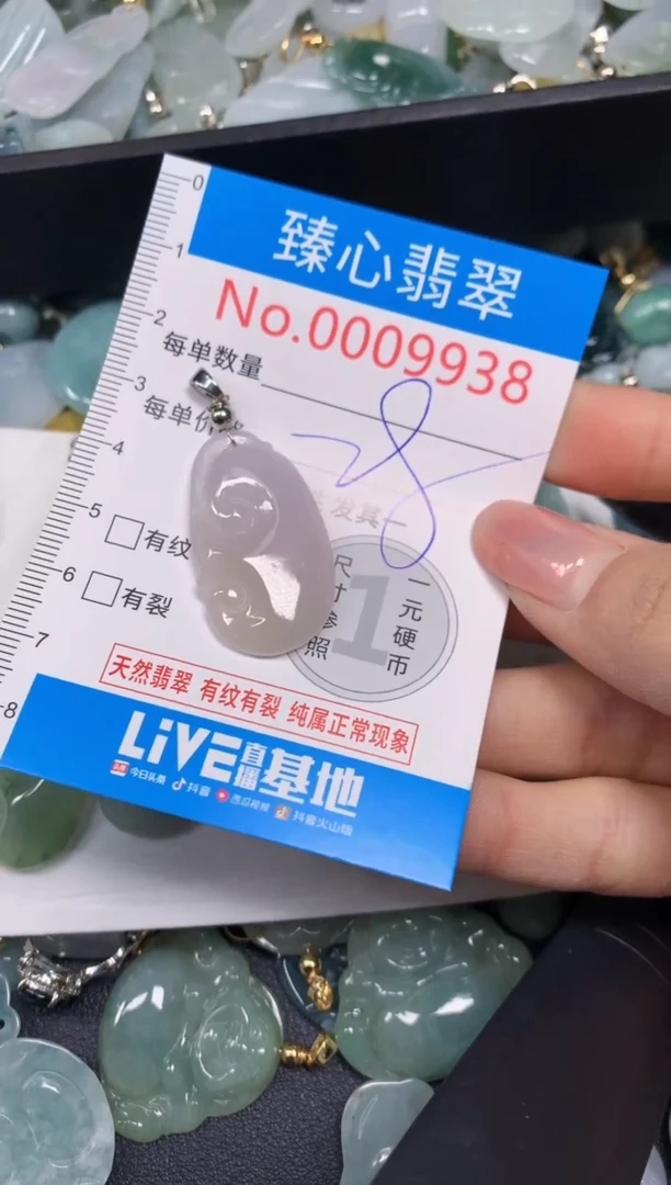 【闪购商品】翡翠颈饰未镶嵌含绳0009938