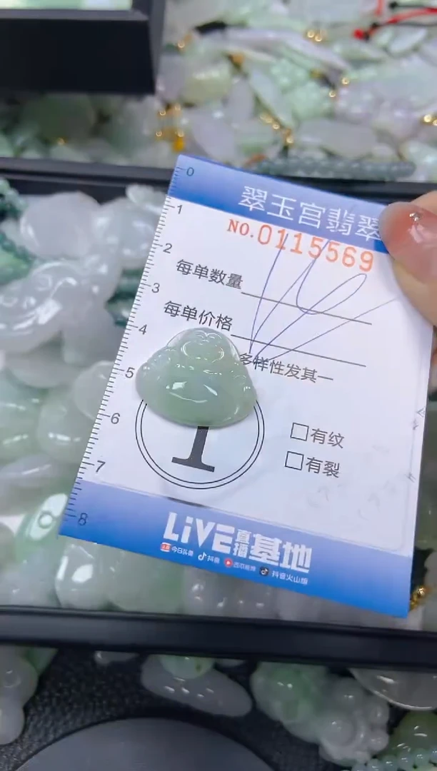 翡翠未镶嵌颈饰闪购0115569