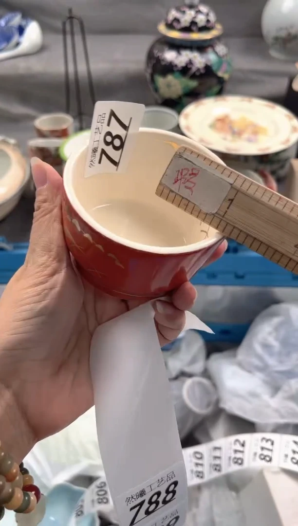 瓷片雪*787