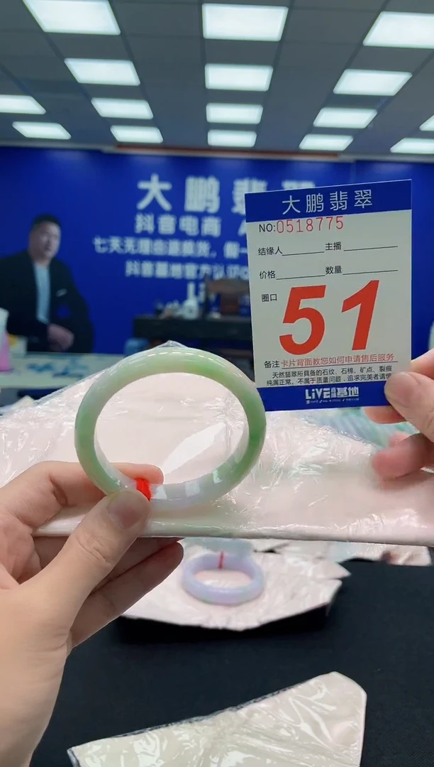未镶嵌手镯翡翠AAAAAAAAA