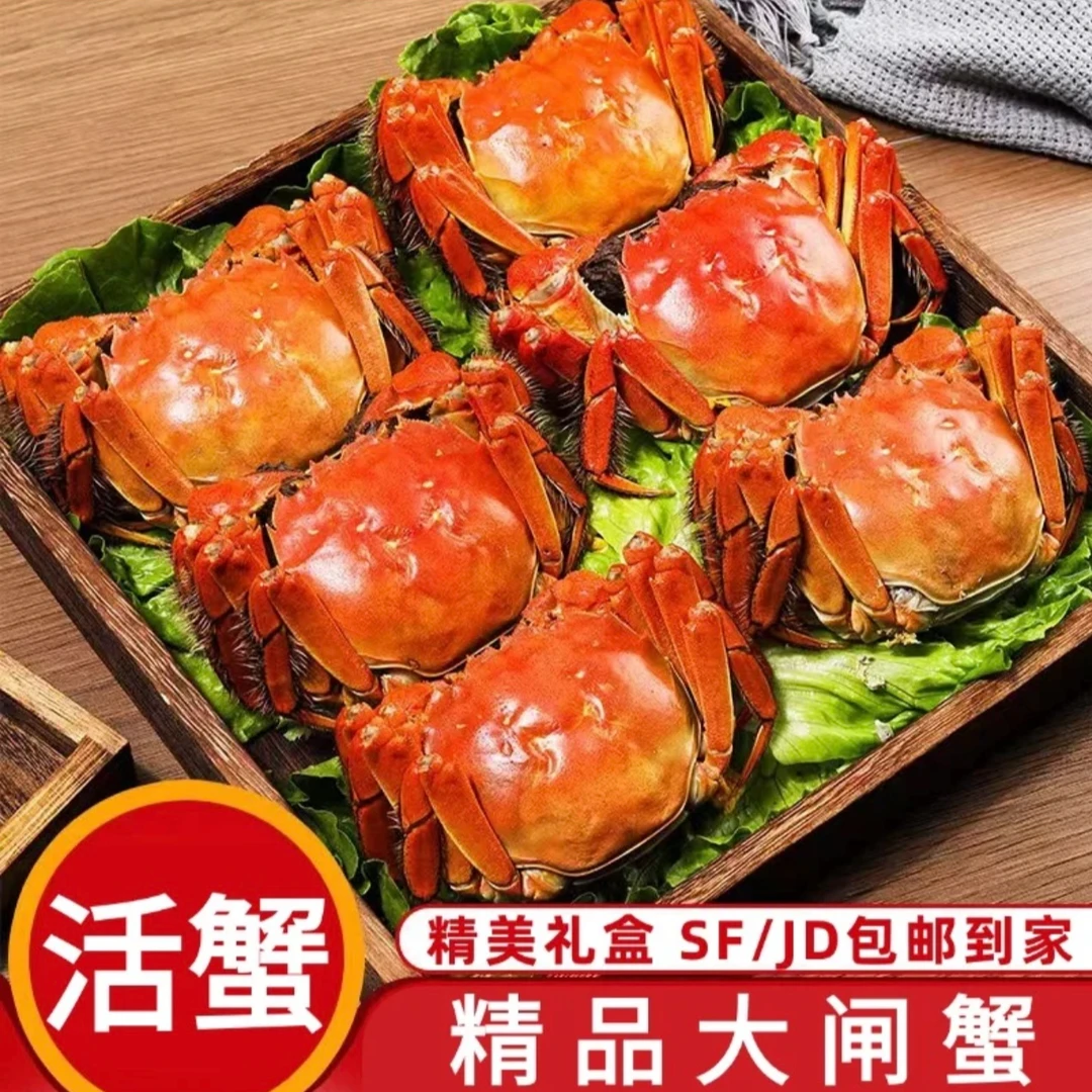 【活蟹】苏州精品大闸蟹 公蟹5.8-5.5两母蟹4.8-4.5两母8只/10只