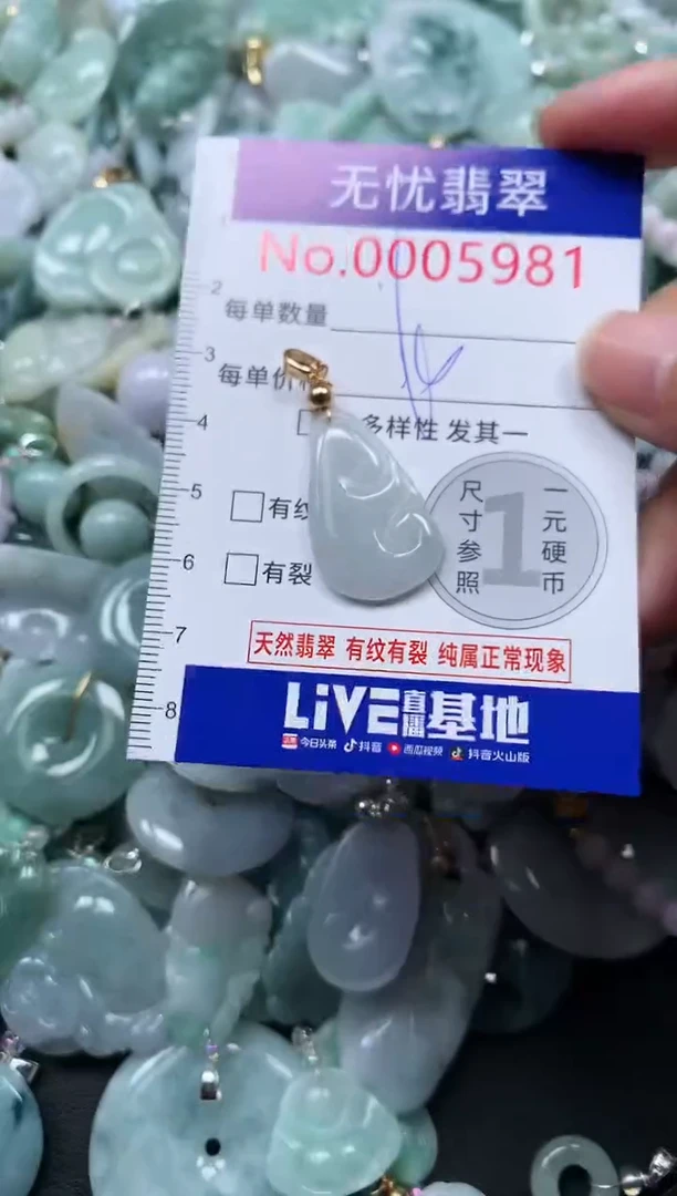 颈饰未镶嵌翡翠5981