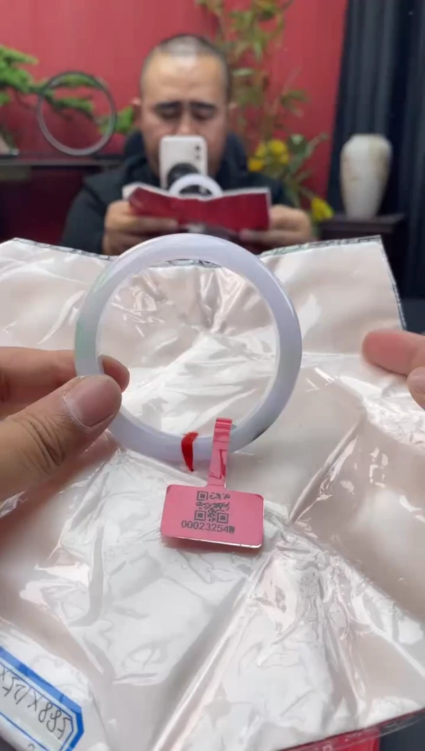 未镶嵌手镯翡翠5