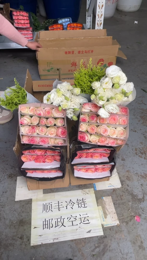 艾沙20枝+朱小姐20枝+白桔梗400克+黄莺