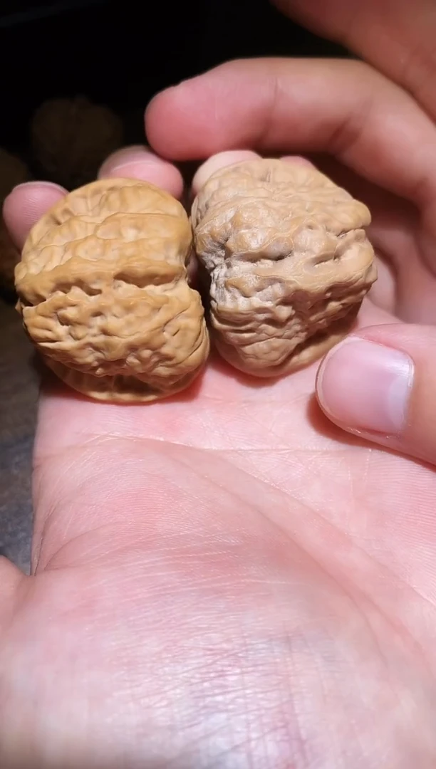 文玩核桃把件微修打底蛤蟆头40